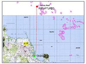 Suntag reaches milestone